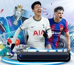 asia-leyu-sport.com.cn的方向 - 长期内容价值积累