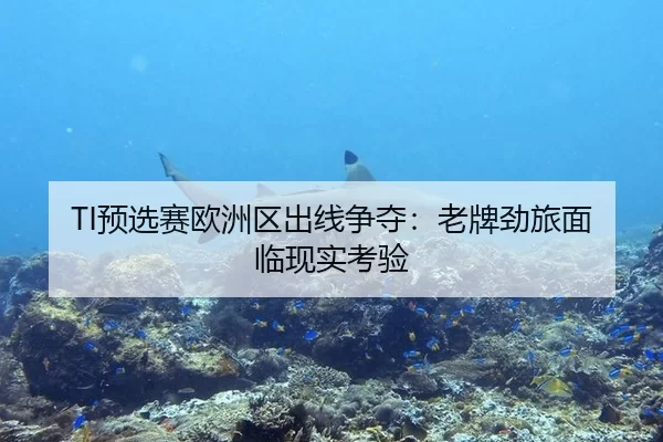 TI预选赛欧洲区出线争夺：老牌劲旅面临现实考验